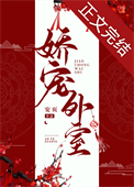 《娇宠外室》封面