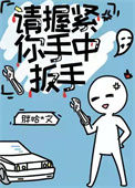《请握紧你手中扳手》封面