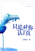 《只是对你认了真》封面