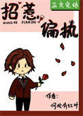 《招惹偏执》封面