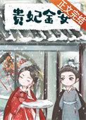 《贵妃金安》封面