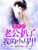 《重生后，我成了四个反派的长嫂》封面