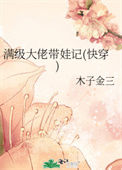 《满级大佬带娃记(快穿)》封面