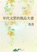 《年代文里的极品夫妻》封面