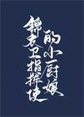 《锦衣卫指挥使的小厨娘》封面