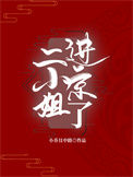 《二小姐进京了》封面