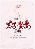 《太子娶妻手册（重生）》封面