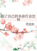 《掐了自己的本命灯会怎样》封面