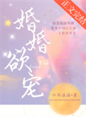 《婚婚欲宠》封面