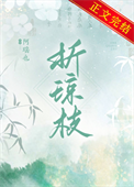 《折琼枝》封面