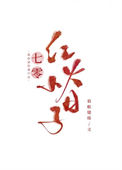 《七零红火小日子》封面