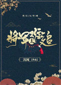 《重生之将军太难追》封面