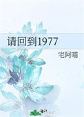 《请回到1977》封面