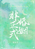 《非正式婚姻》封面