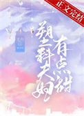 《塑料夫妇有点甜》封面