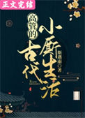 《高管的古代小厮生活》封面