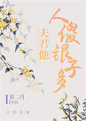 《夫君他人傻银子多》封面