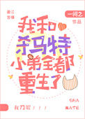 《我和杀马特小弟全都重生了》封面