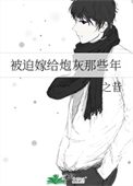 《被迫嫁给炮灰那些年》封面