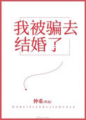 《我被骗去结婚了》封面