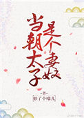 《当朝太子是个妻奴》封面