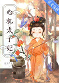 《心机太子妃》封面