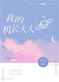 《我的机长大人》封面