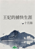 《王妃的捕快生涯》封面