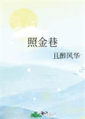 《照金巷》封面