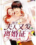 《韩少，夫人又发离婚证了》封面
