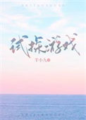 《试探游戏》封面