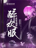 《醉欢眠》封面