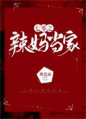 《七零之辣妈当家》封面