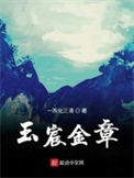 《玉宸金章》封面