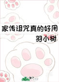 《家传诅咒真的好用》封面