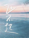 《飞不起》封面