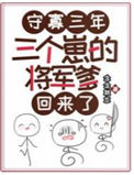 《守寡三年，三个崽的将军爹回来了》封面