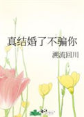《真结婚了不骗你》封面