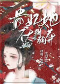 《贵妃她不太想殉葬》封面