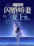 《好孕成双：闪婚娇妻宠上瘾》封面