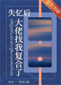 《失忆后，大佬找我复合了》封面