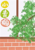 《小青梅[八零]》封面