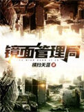 《镜面管理局》封面