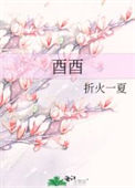 《酉酉》封面