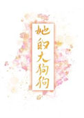 《黑皮将军的小青梅》封面
