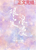 《限定浪漫》封面