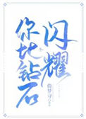 《你比钻石闪耀》封面