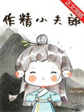 《作精小夫郎》封面