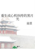 《重生成心机纨绔的黑月光》封面