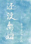 《还没离婚》封面